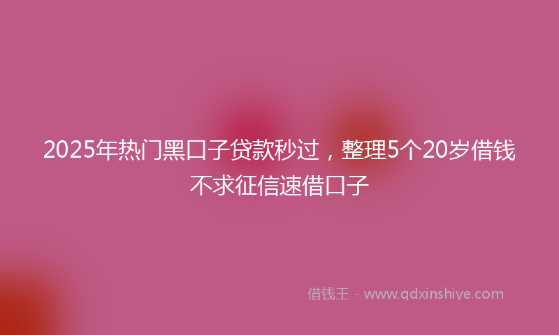 2025年热门黑口子贷款秒过，整理5个20岁借钱不求征信速借口子