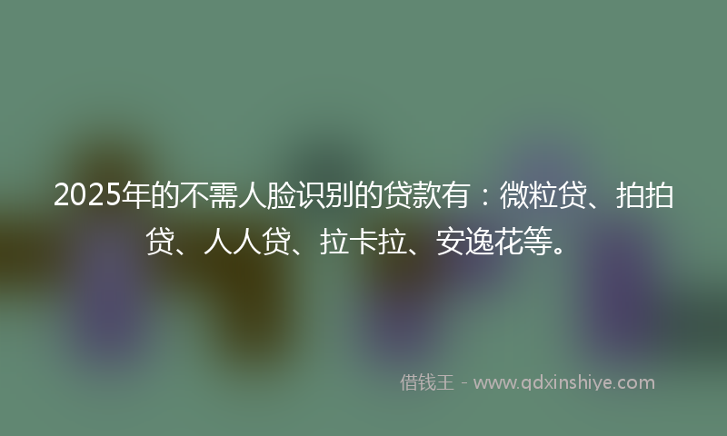 2025年的不需人脸识别的贷款有：微粒贷、拍拍贷、人人贷、拉卡拉、安逸花等。