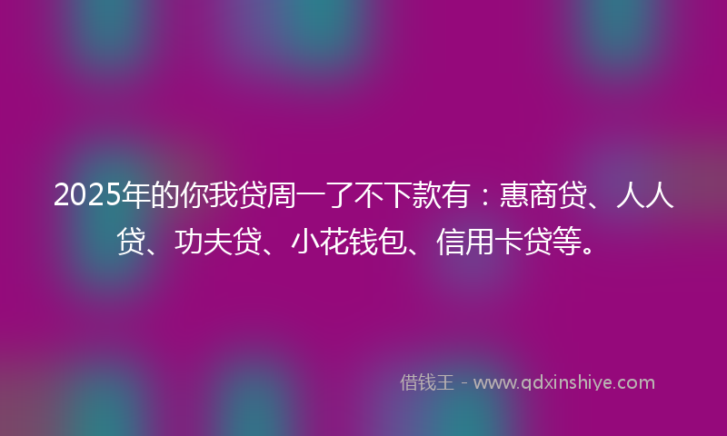 2025年的你我贷周一了不下款有：惠商贷、人人贷、功夫贷、小花钱包、信用卡贷等。
