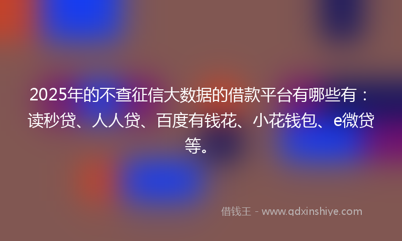 2025年的不查征信大数据的借款平台有哪些有：读秒贷、人人贷、百度有钱花、小花钱包、e微贷等。