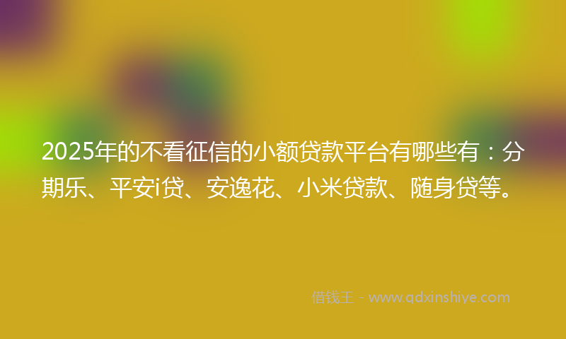 2025年的不看征信的小额贷款平台有哪些有：分期乐、平安i贷、安逸花、小米贷款、随身贷等。