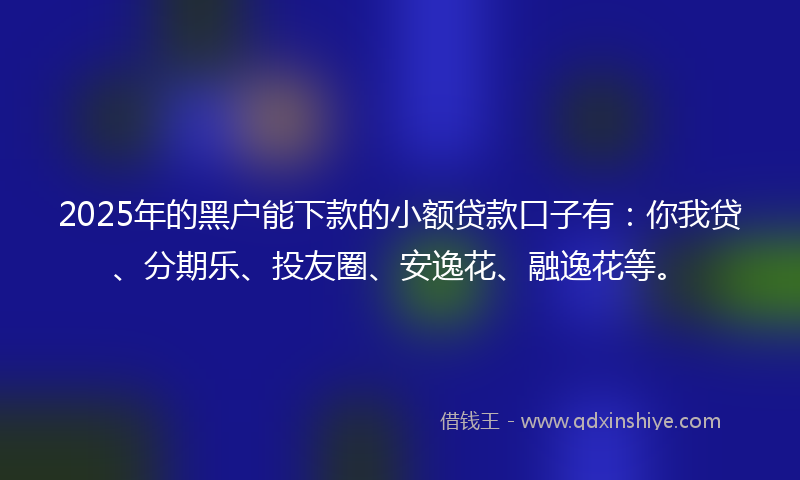 2025年的黑户能下款的小额贷款口子有：你我贷、分期乐、投友圈、安逸花、融逸花等。