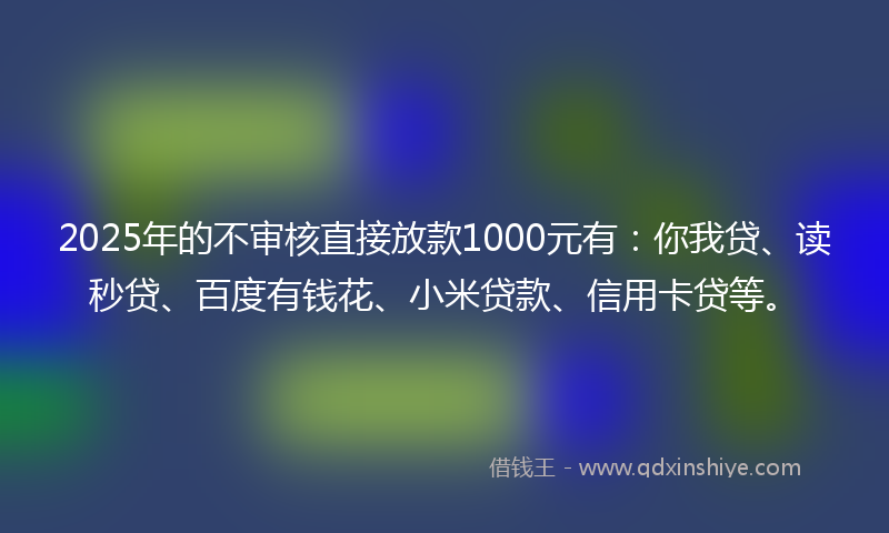 2025年的不审核直接放款1000元有：你我贷、读秒贷、百度有钱花、小米贷款、信用卡贷等。
