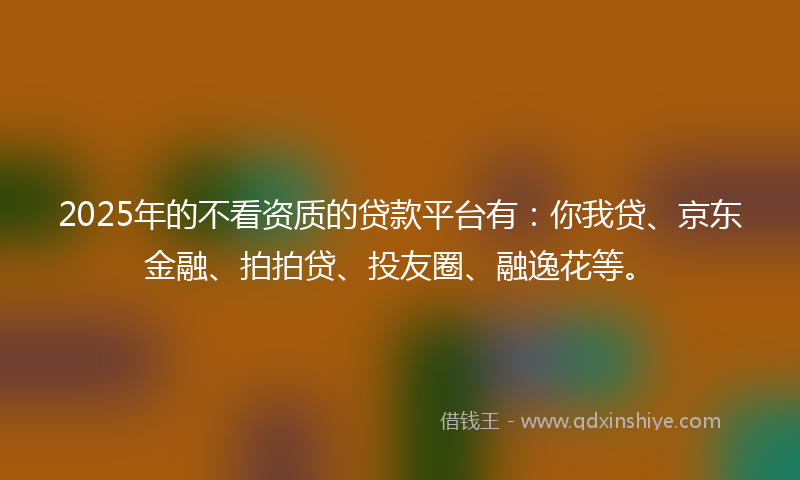 2025年的不看资质的贷款平台有：你我贷、京东金融、拍拍贷、投友圈、融逸花等。