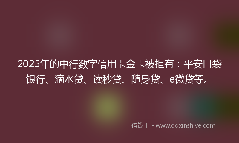 2025年的中行数字信用卡金卡被拒有：平安口袋银行、滴水贷、读秒贷、随身贷、e微贷等。