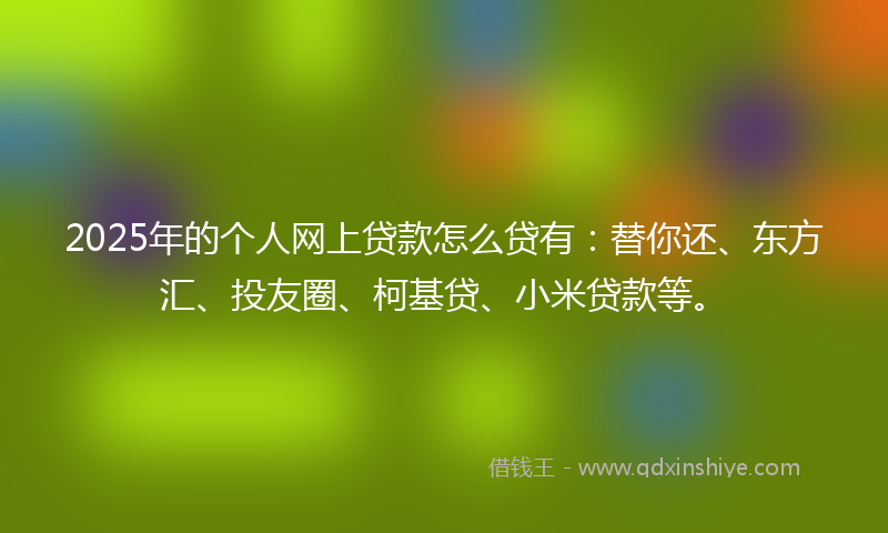 2025年的个人网上贷款怎么贷有：替你还、东方汇、投友圈、柯基贷、小米贷款等。