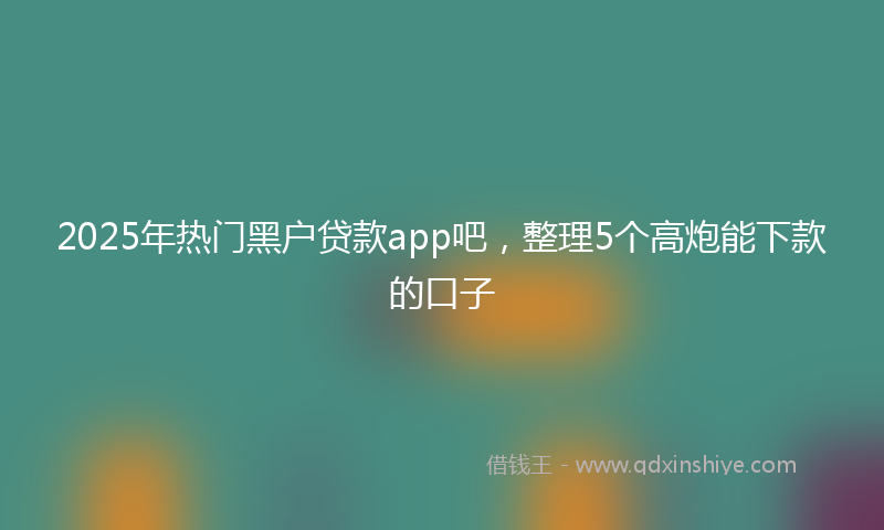 2025年热门黑户贷款app吧，整理5个高炮能下款的口子