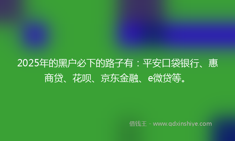 2025年的黑户必下的路子有：平安口袋银行、惠商贷、花呗、京东金融、e微贷等。