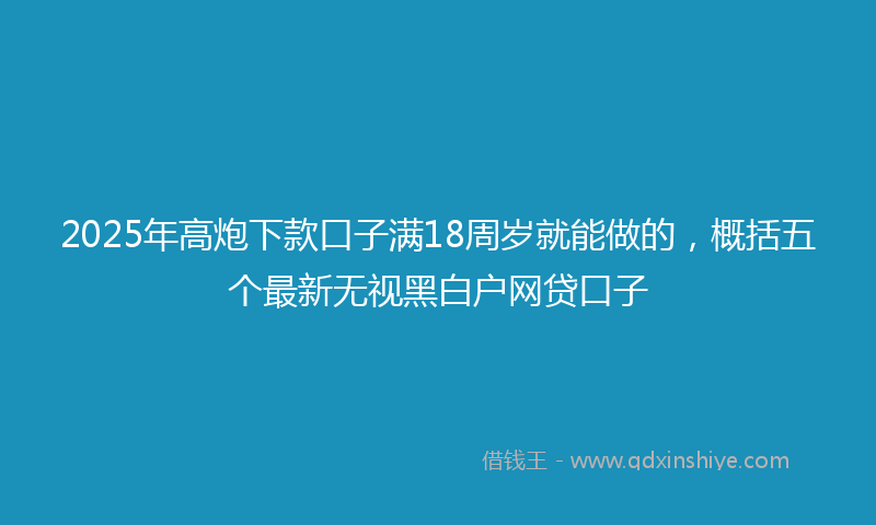 2025年高炮下款口子满18周岁就能做的，概括五个最新无视黑白户网贷口子