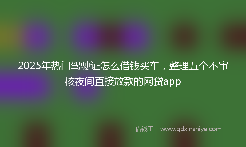 2025年热门驾驶证怎么借钱买车，整理五个不审核夜间直接放款的网贷app