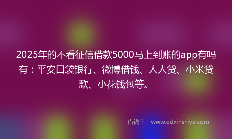 2025年的不看征信借款5000马上到账的app有吗有：平安口袋银行、微博借钱、人人贷、小米贷款、小花钱包等。