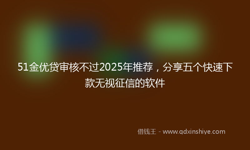 51金优贷审核不过2025年推荐，分享五个快速下款无视征信的软件