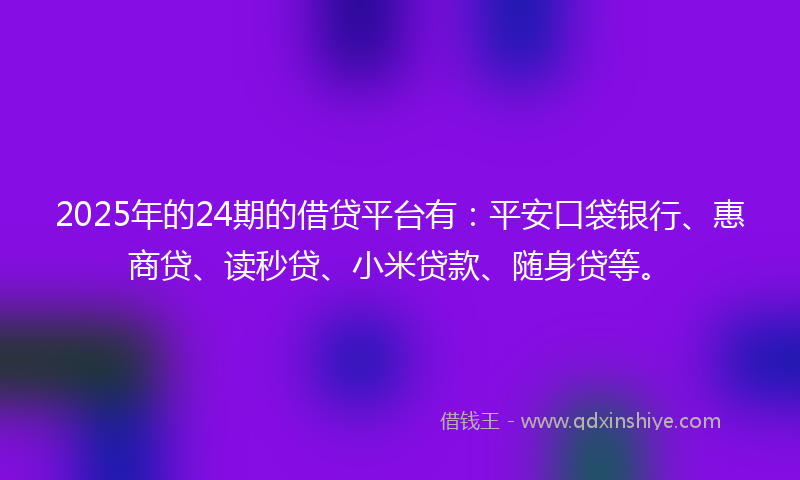 2025年的24期的借贷平台有：平安口袋银行、惠商贷、读秒贷、小米贷款、随身贷等。