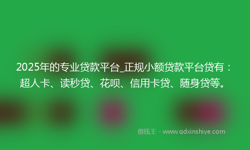 2025年的专业贷款平台_正规小额贷款平台贷有：超人卡、读秒贷、花呗、信用卡贷、随身贷等。