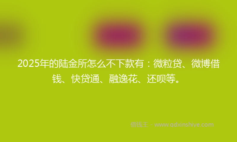 2025年的陆金所怎么不下款有：微粒贷、微博借钱、快贷通、融逸花、还呗等。