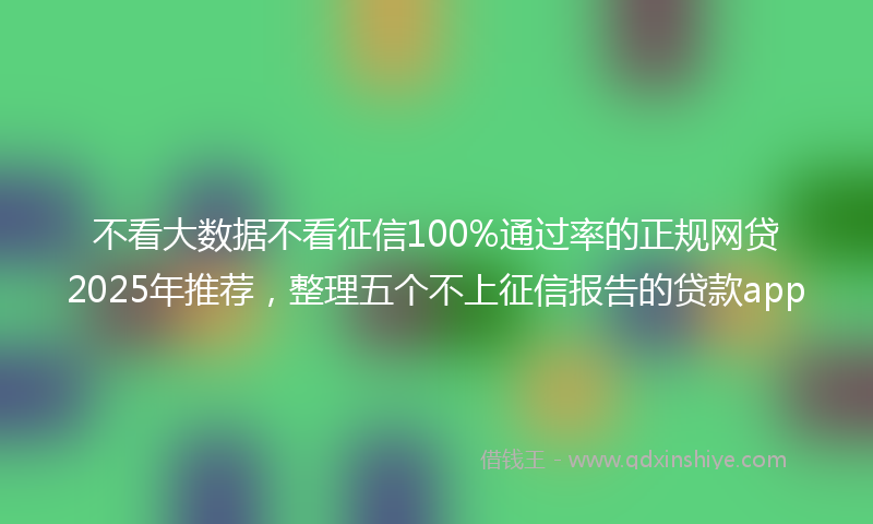 不看大数据不看征信100%通过率的正规网贷2025年推荐，整理五个不上征信报告的贷款app