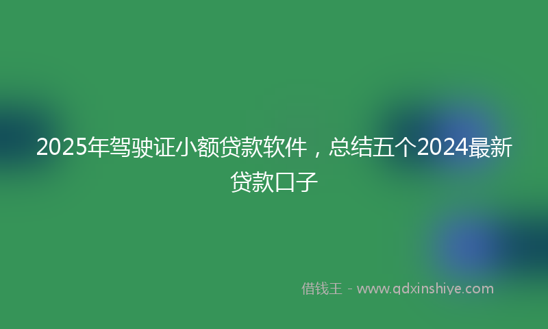 2025年驾驶证小额贷款软件，总结五个2024最新贷款口子