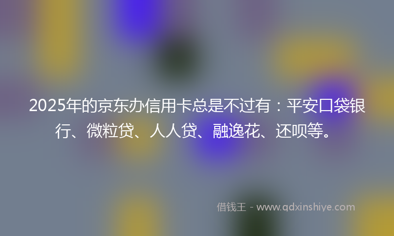 2025年的京东办信用卡总是不过有：平安口袋银行、微粒贷、人人贷、融逸花、还呗等。