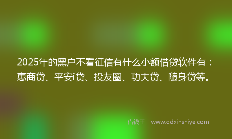 2025年的黑户不看征信有什么小额借贷软件有：惠商贷、平安i贷、投友圈、功夫贷、随身贷等。