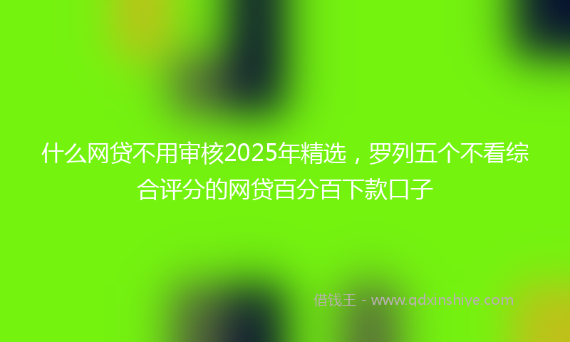 什么网贷不用审核2025年精选，罗列五个不看综合评分的网贷百分百下款口子