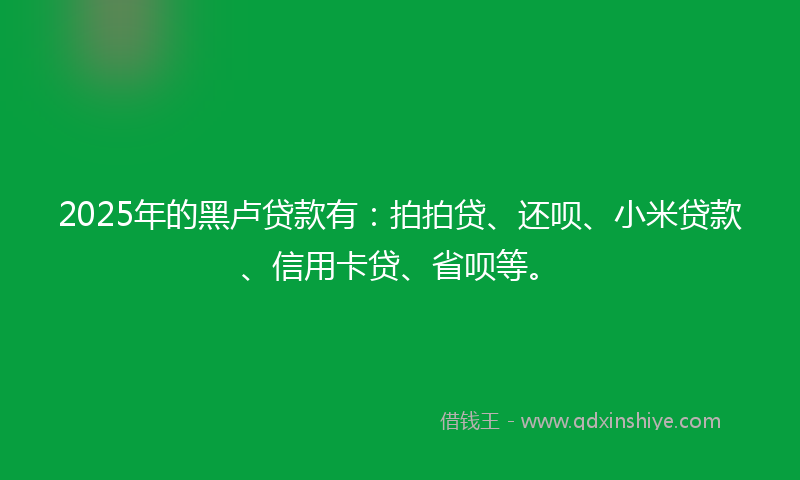 2025年的黑卢贷款有：拍拍贷、还呗、小米贷款、信用卡贷、省呗等。