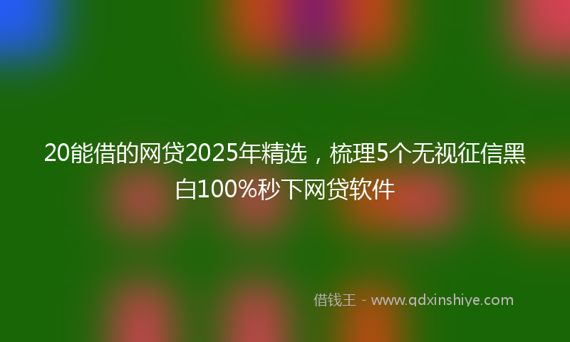 20能借的网贷2025年精选，梳理5个无视征信黑白100%秒下网贷软件