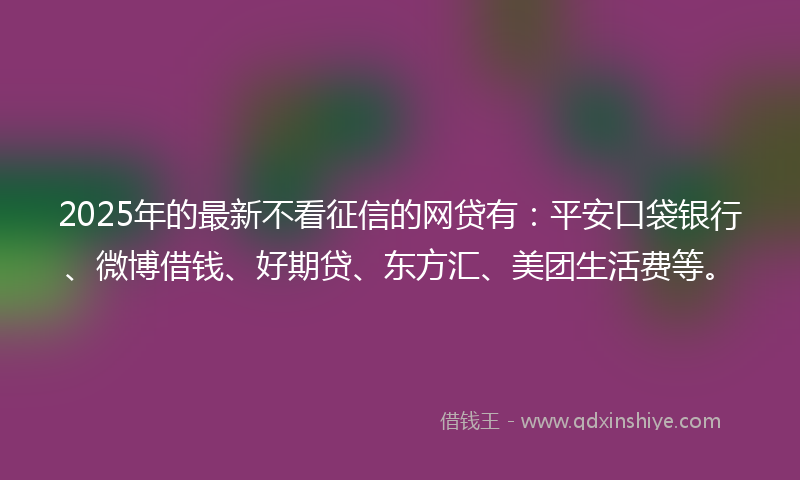 2025年的最新不看征信的网贷有：平安口袋银行、微博借钱、好期贷、东方汇、美团生活费等。