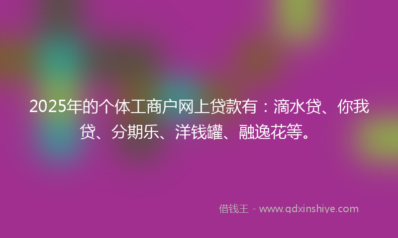 2025年的个体工商户网上贷款有：滴水贷、你我贷、分期乐、洋钱罐、融逸花等。