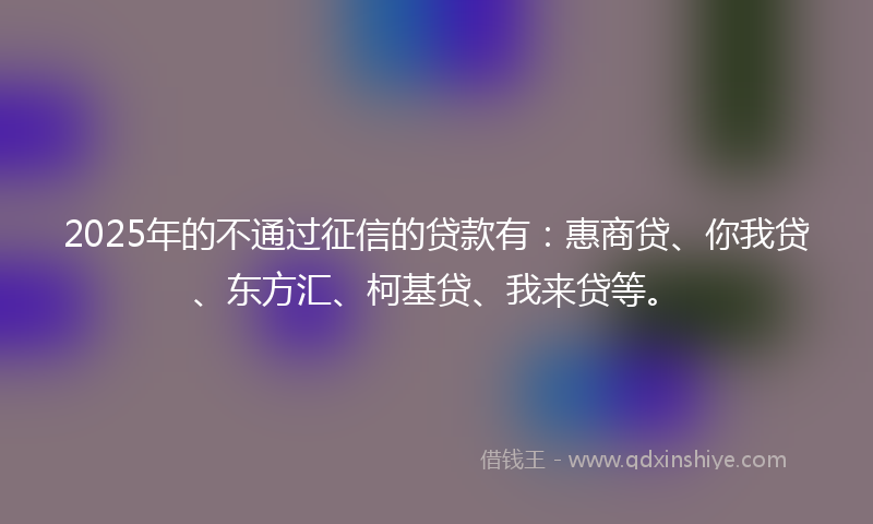 2025年的不通过征信的贷款有：惠商贷、你我贷、东方汇、柯基贷、我来贷等。