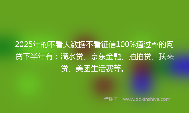 2025年的不看大数据不看征信100%通过率的网贷下半年有：滴水贷、京东金融、拍拍贷、我来贷、美团生活费等。