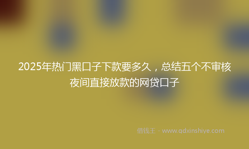 2025年热门黑口子下款要多久，总结五个不审核夜间直接放款的网贷口子