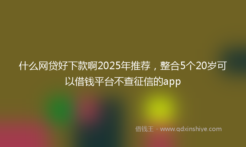 什么网贷好下款啊2025年推荐，整合5个20岁可以借钱平台不查征信的app