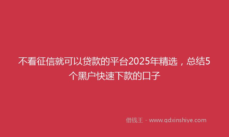 不看征信就可以贷款的平台2025年精选，总结5个黑户快速下款的口子
