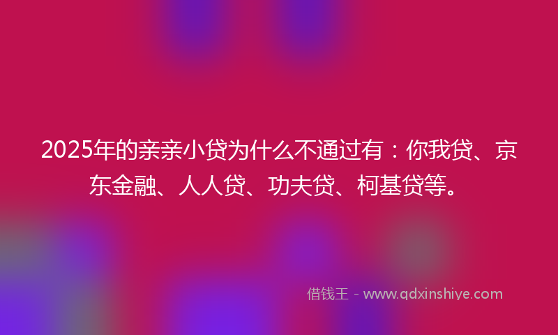 2025年的亲亲小贷为什么不通过有：你我贷、京东金融、人人贷、功夫贷、柯基贷等。