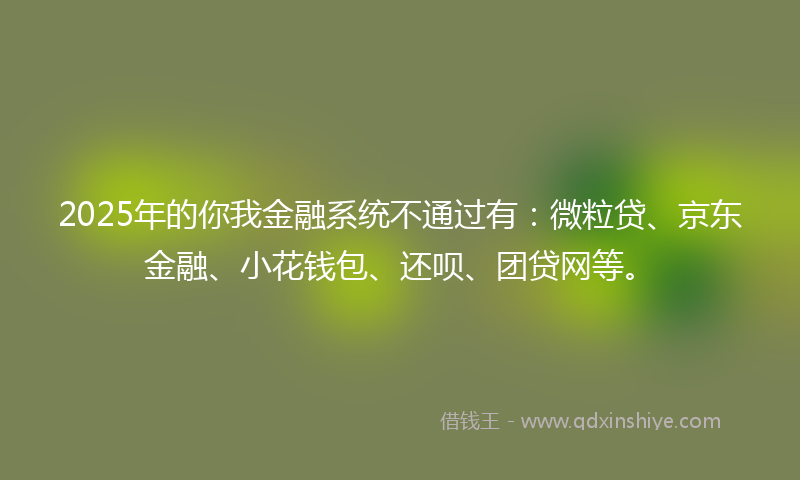 2025年的你我金融系统不通过有：微粒贷、京东金融、小花钱包、还呗、团贷网等。