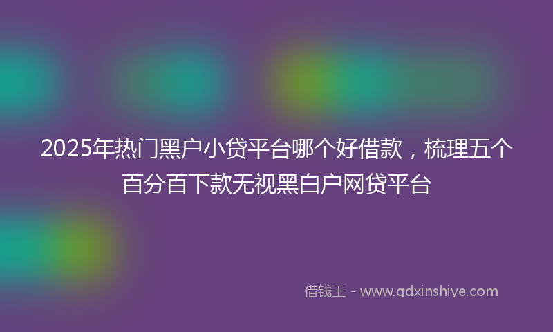2025年热门黑户小贷平台哪个好借款，梳理五个百分百下款无视黑白户网贷平台