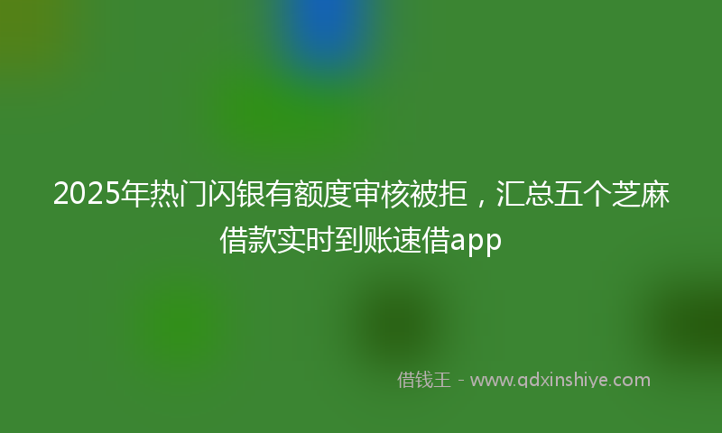 2025年热门闪银有额度审核被拒，汇总五个芝麻借款实时到账速借app