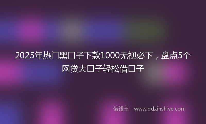 2025年热门黑口子下款1000无视必下，盘点5个网贷大口子轻松借口子
