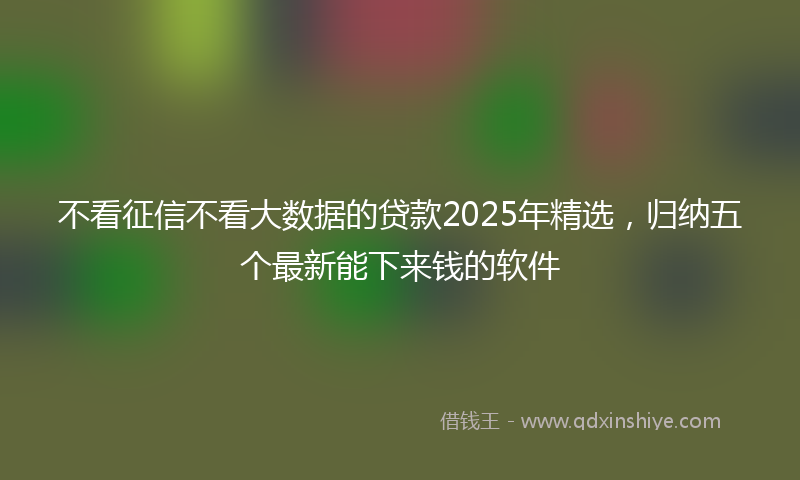 不看征信不看大数据的贷款2025年精选，归纳五个最新能下来钱的软件