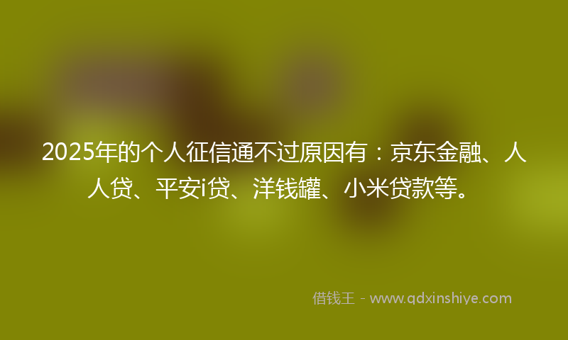 2025年的个人征信通不过原因有：京东金融、人人贷、平安i贷、洋钱罐、小米贷款等。