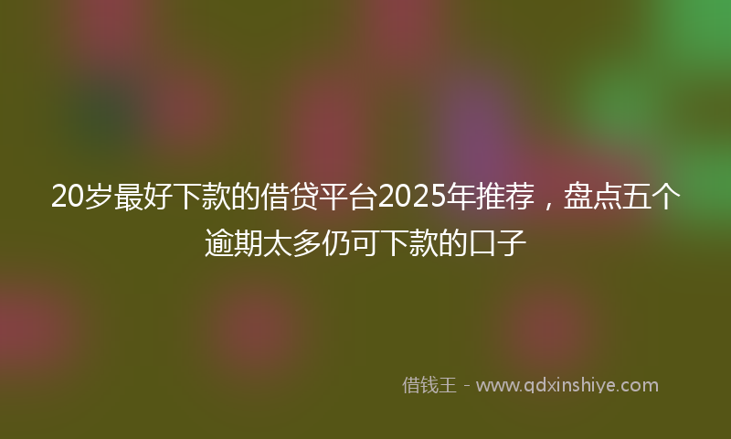 20岁最好下款的借贷平台2025年推荐，盘点五个逾期太多仍可下款的口子