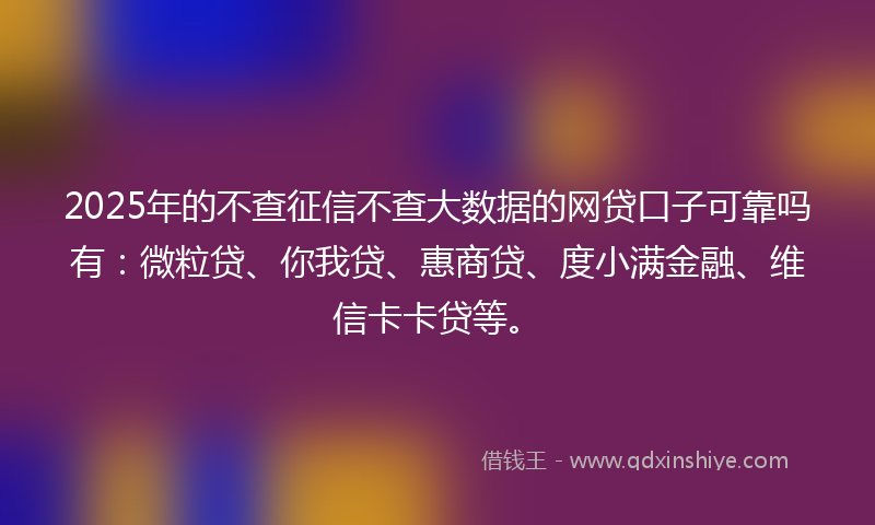 2025年的不查征信不查大数据的网贷口子可靠吗有：微粒贷、你我贷、惠商贷、度小满金融、维信卡卡贷等。