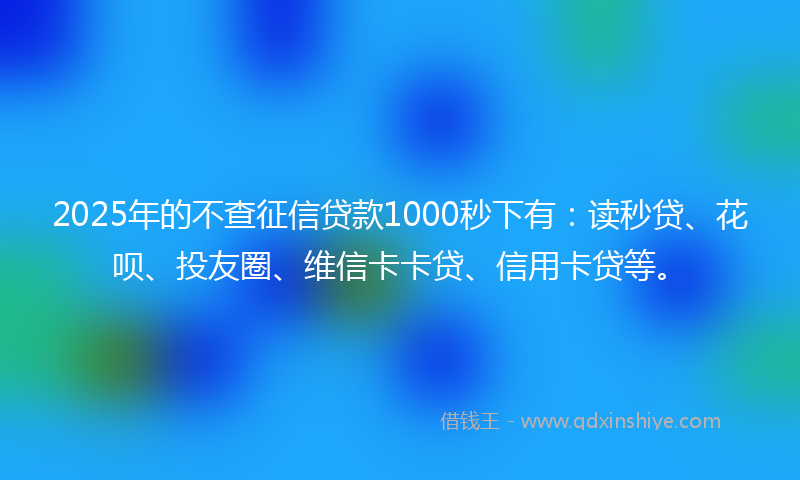 2025年的不查征信贷款1000秒下有：读秒贷、花呗、投友圈、维信卡卡贷、信用卡贷等。