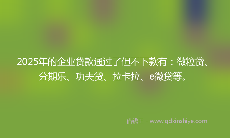 2025年的企业贷款通过了但不下款有：微粒贷、分期乐、功夫贷、拉卡拉、e微贷等。