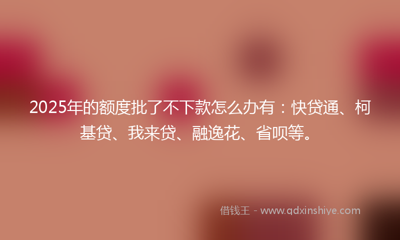 2025年的额度批了不下款怎么办有：快贷通、柯基贷、我来贷、融逸花、省呗等。
