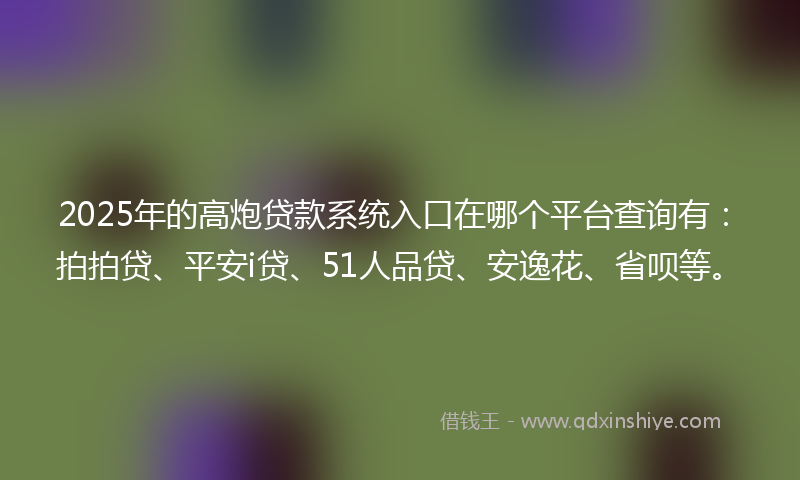 2025年的高炮贷款系统入口在哪个平台查询有：拍拍贷、平安i贷、51人品贷、安逸花、省呗等。