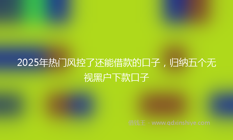 2025年热门风控了还能借款的口子，归纳五个无视黑户下款口子