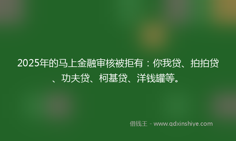 2025年的马上金融审核被拒有：你我贷、拍拍贷、功夫贷、柯基贷、洋钱罐等。