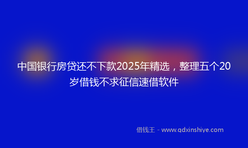 中国银行房贷还不下款2025年精选，整理五个20岁借钱不求征信速借软件
