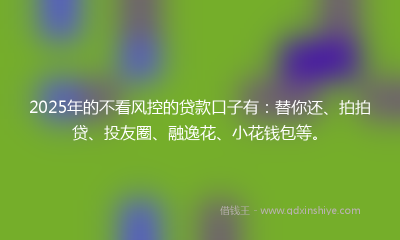 2025年的不看风控的贷款口子有：替你还、拍拍贷、投友圈、融逸花、小花钱包等。